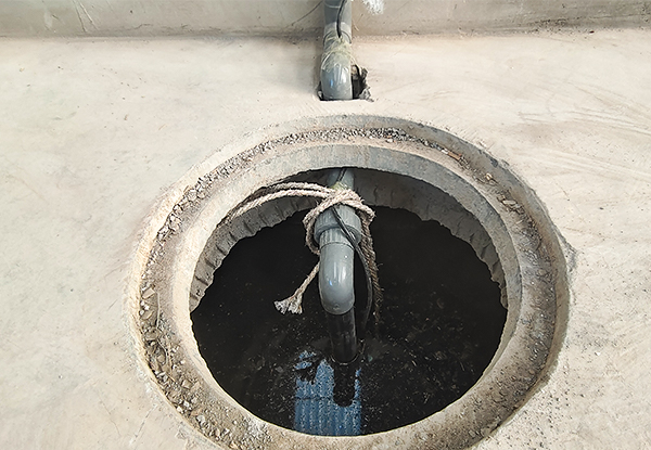 1664359898123552.jpg 画板 3.jpg