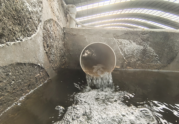 1664359908593507.jpg 画板 4.jpg