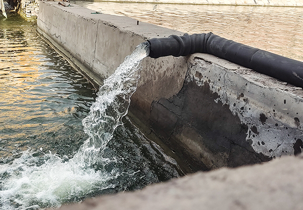 1679135512553929.jpg 画板 22.jpg