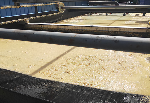 1721373408182795.jpg 画板 5.jpg