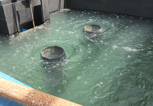 1721373421431028.jpg 画板 4.jpg