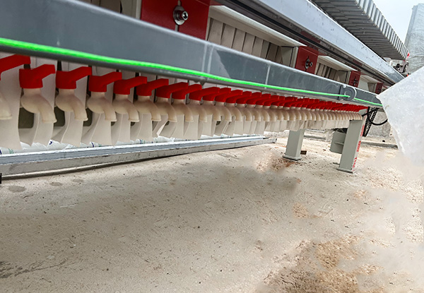 1723018743991240.jpg 画板 5.jpg