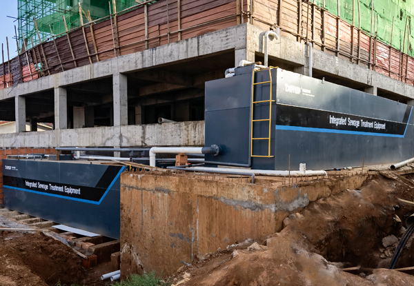 1735289650284701.jpg 画板 1.jpg