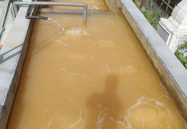 1754107019453429.jpg 画板 2.jpg